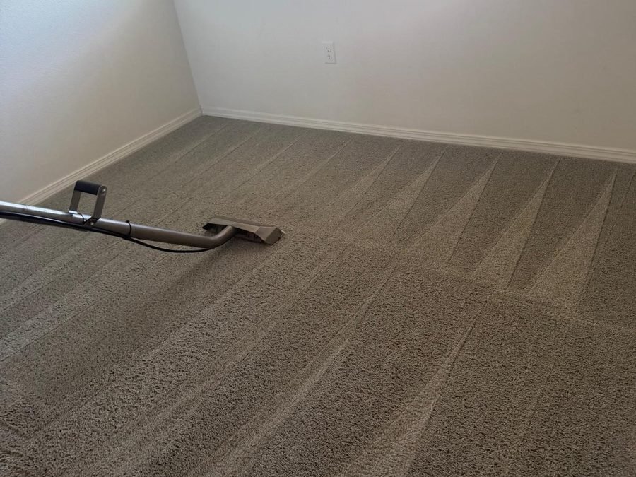 Technician extracting a living-room carpet (900×700)